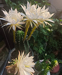 �������ˣ�һ������뿪