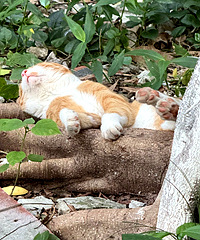 ����ɶ������˯�ˣ������