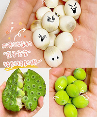 ������������ժ�������֭