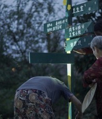 大学生和村民爆改旧马路,成打卡点