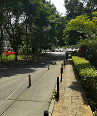南山亚马逊穿野很刺激也很危险,精华部分小河沟体验感很强