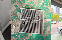 ������Ҫ���������п��ܻ��С�С�ɰ�������