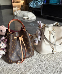 ĺϲˮͰԱLVCOACHˮͰ