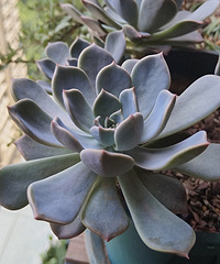 ���ǵĶ��������ô���ĵ�