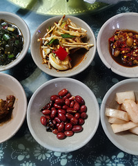 ��ʩ��Թ�ԣ����˺ܶ൱����ɫ��ʳ