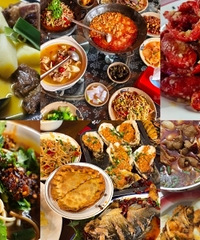 ��ʩ��Թ�ԣ����˺ܶ൱����ɫ��ʳ