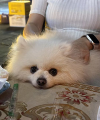 人生最重要的决定是对伴侣的选择,选择结婚对象需要考虑什么?