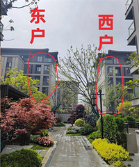 ��������������ɹ������Ȼ�������������ˣ�