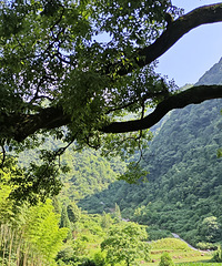 ����ı���ʤ�أ����綼�����ڵذӳԷ�