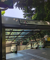 周末徒步北碚道明寺—北碚天坑—牌坊,青石板路还是比较好走