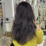 �����Ź����̫������