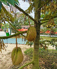 �����������ˣ�ѧǰ��������Ե㣬���и��������