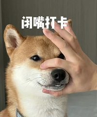 因为胖,你听过最扎心的话是什么?他们说我肥婆