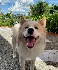 �ѹ���ȥ���������һ�����