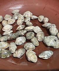 ���о��������ʵ�üë�Ķ쵰������˿��