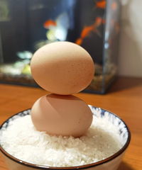 终身伴侣具有的6个特征:情绪稳定、忠诚、成就彼此、彼此扶持