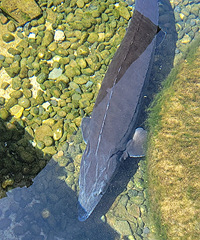 �ĵ���˶����л���