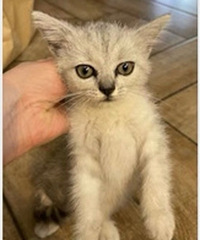 ������������Сè������