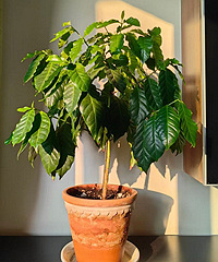 ����һ��Ŀ������仯����