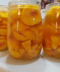 ����42������ʺ��ڼҿ��յ�������