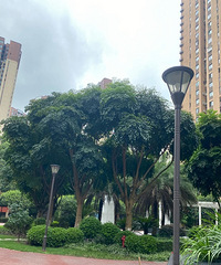 �����·���������