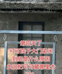 �ȵö��ﶼ�ⲻס�ˣ����춯��԰��Ӧ����è����ɡ�δչ��