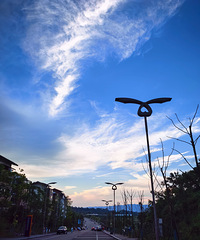 ������С�����컨�壬����û��֮һ