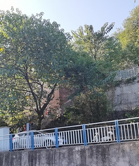 周末夜徒10公里南山春天岭,落日余晖太美,还可以看重庆夜景