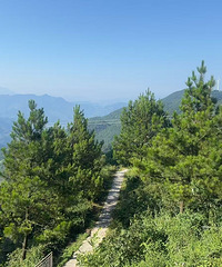 重庆主城40度+,我在南天门感受25度的重庆爽歪歪