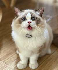 ��żè��Ȼ�ã�����...