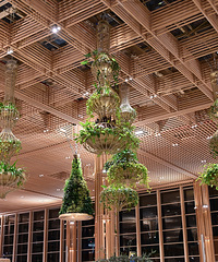 �ٲ���ȥ��ë����˹