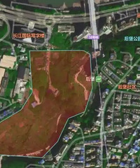 ĻƸŶɣϰ˵أĿǰչ