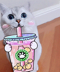 ֵŷʫĤ15Ƭ29CBP499