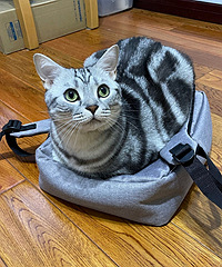 ���ӹ�����6������������