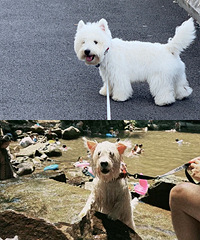 7���µ�С��Խ��Խ�ÿ���