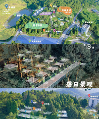 ���ձ���¶Ӫ��1h�������ǣ�ɭ��22�濴��������