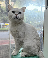 С�����������ܵ�������