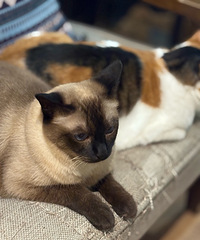 �Ի��ռ�֮��̼ˮ֮��