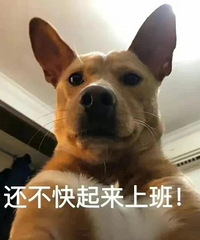 ֵ3ceѡ2ֻ96ⲩѧ30Ƭ58