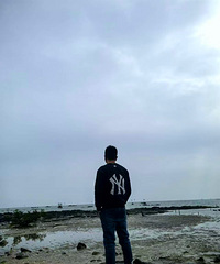 87172CM̵˫飬Դȼҵ