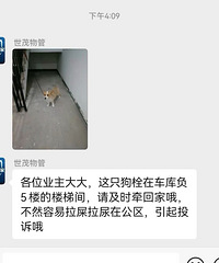 ����������緢�ģ����й��������⹷���ᱻ�����ڹ����˰ɡ�