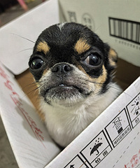 һ�꼪���޵ܵ�����������