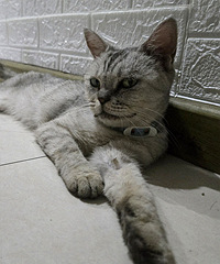 èһ�����˾ͽв�ͣ��Ϊɶ