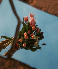 ���ѻ�������ڻ��뵥�����㡰���úܲҡ������ر���7����������