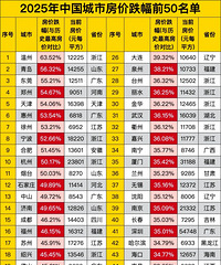 2025���й����з��۵���ǰ50����