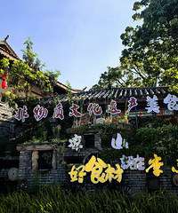 8天电车自驾游(丽江→虎跳峡→泸沽湖→西昌)