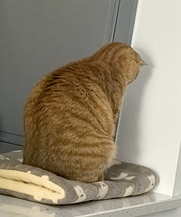 ����������������emo��