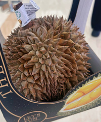 żȻ���������Ķ�����������9����������ѡС����