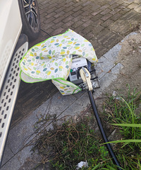 ��ô��˽�Ļ쵰���ǵ�һ�μ����ѳ��ǹ����һ����������