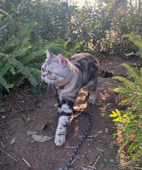 ɹɹ��ţè�ճ�����������